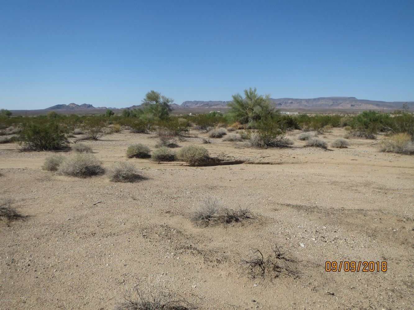 Lot 36A& Douglas Ln: Douglas Ln, Yucca, AZ 86438
